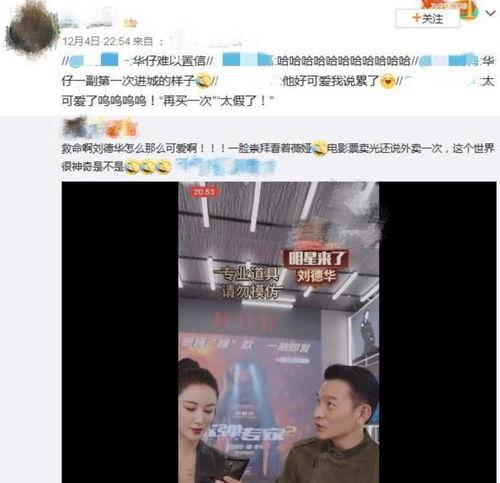 沈阳四季爆料事件视频播放,视频揭露惊人真相