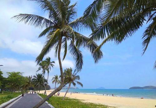 海南旅游最新爆料,秘境探险与海岛风情尽享之旅 第2张 海南旅游最新爆料,秘境探险与海岛风情尽享之旅 第2张