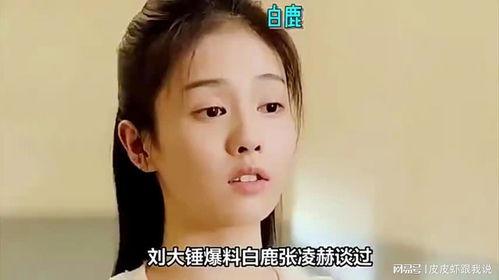 刘大锤爆料白鹿恋情视频,甜蜜互动引网友热议